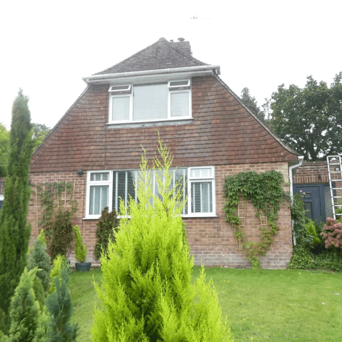 maidstone img 13