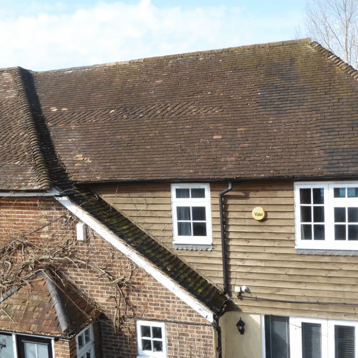 maidstone img 7